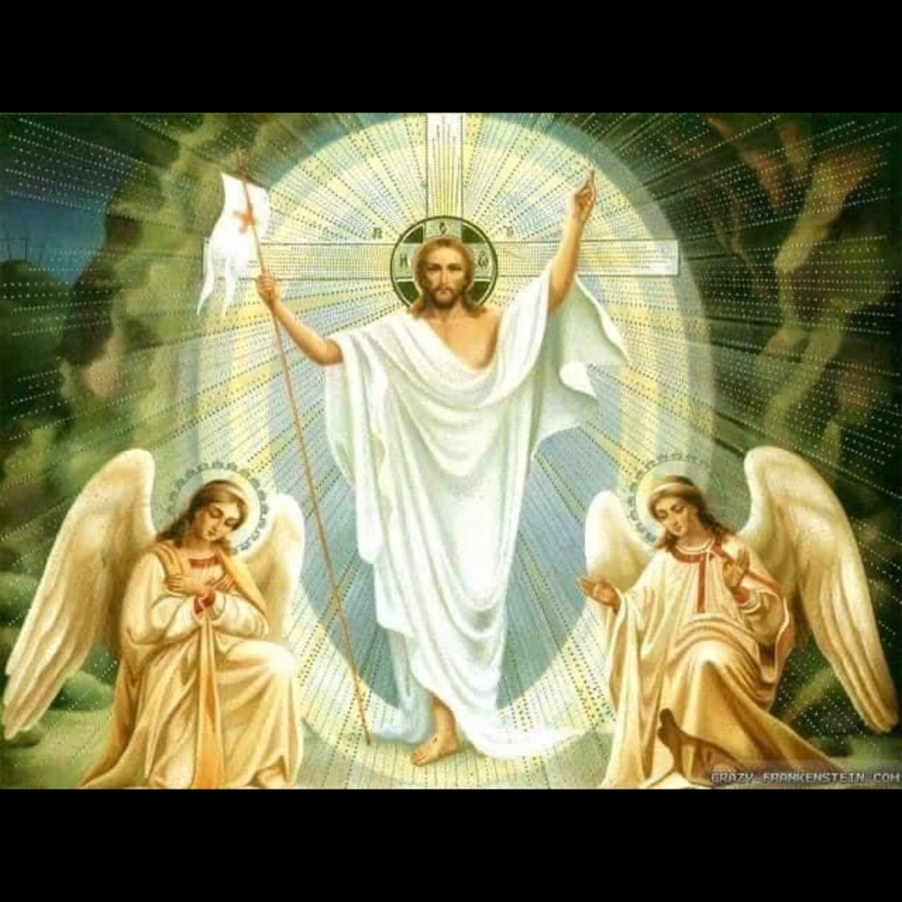 Meet your Posher, Amal